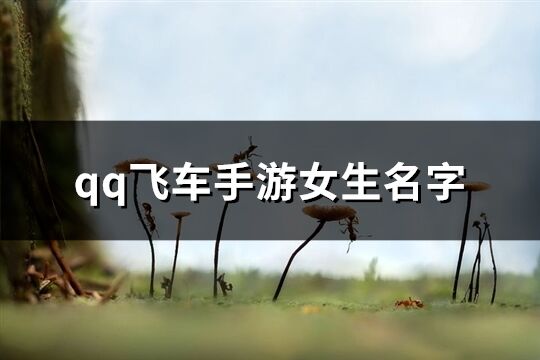 qq飛車手游女生名字(353個)