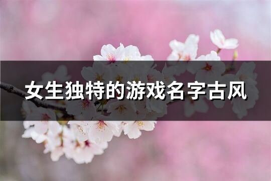 女生獨特的游戲名字古風(903個)