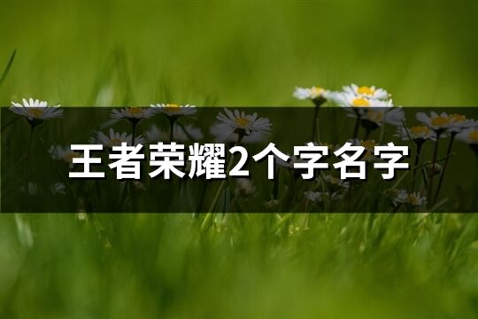 王者榮耀2個字名字(精選1401個)