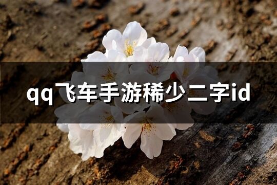 qq飛車手游稀少二字id(880個)