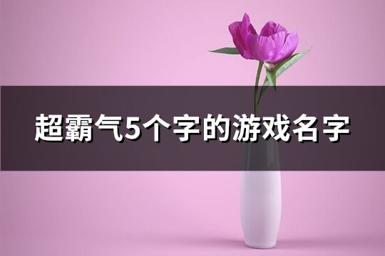 超霸氣5個(gè)字的游戲名字(849個(gè))