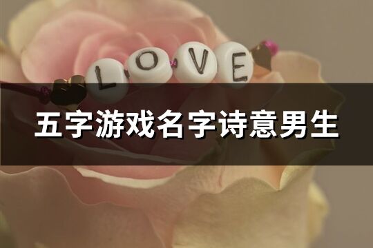 五字游戲名字詩意男生(共596個)