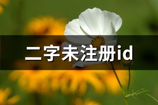 二字未注冊id(411個)