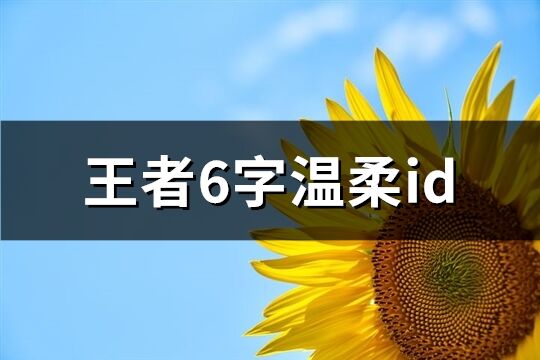 王者6字溫柔id(60個(gè))