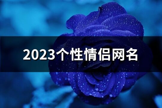 2023個性情侶網名(精選109個)
