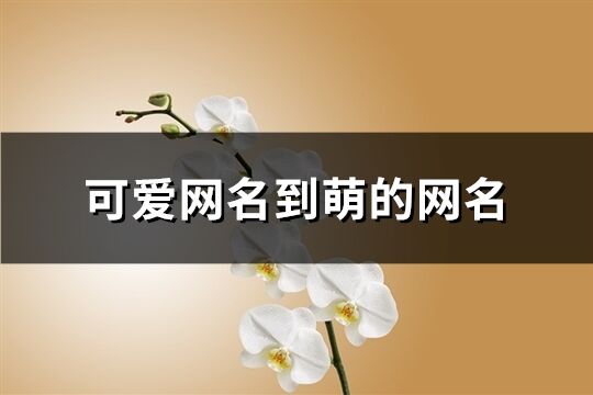 可愛網名到萌的網名(共417個)
