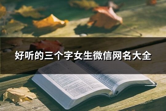 好聽的三個字女生微信網(wǎng)名大全(1821個)