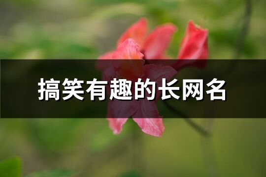 搞笑有趣的長網名(共478個)