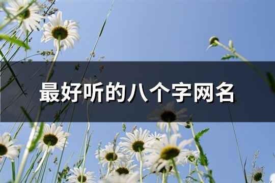 最好聽的八個字網名(共590個)