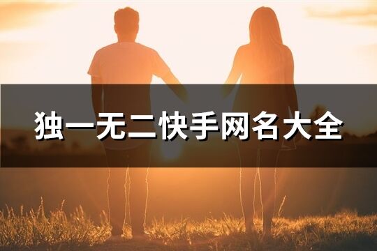 獨一無二快手網名大全(668個)