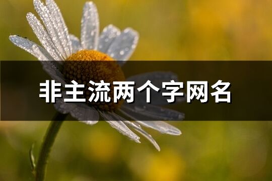 非主流兩個字網(wǎng)名(精選566個)