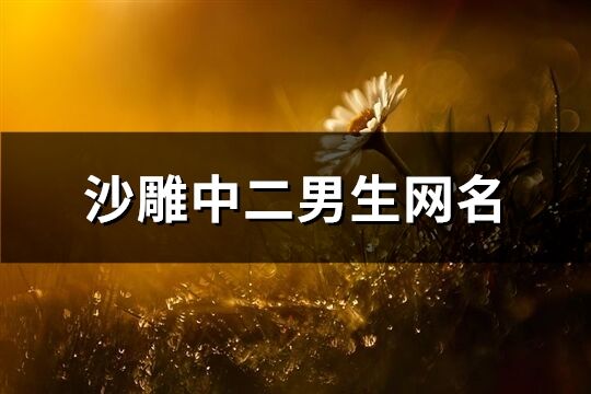 沙雕中二男生網名(40個)