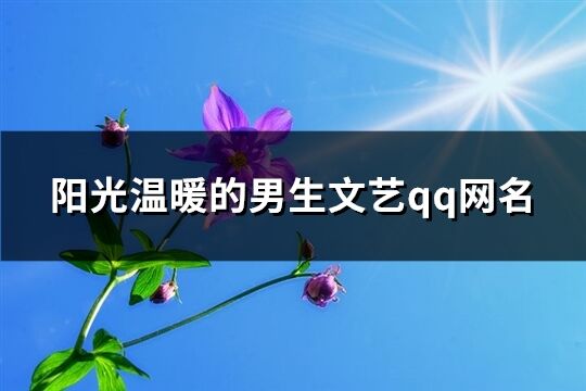 陽(yáng)光溫暖的男生文藝qq網(wǎng)名(817個(gè))