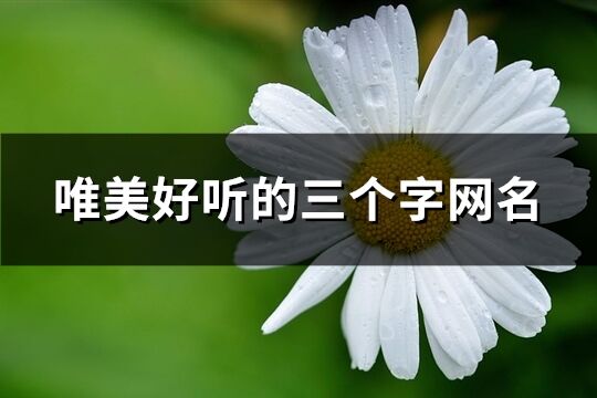 唯美好聽(tīng)的三個(gè)字網(wǎng)名(精選1061個(gè))