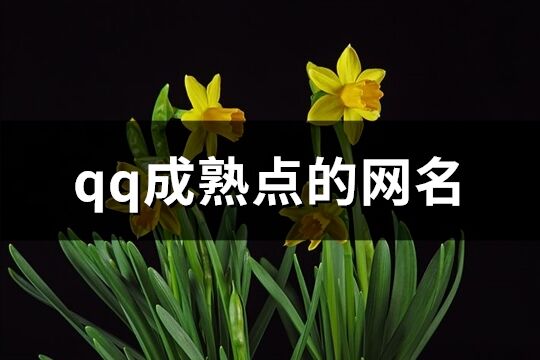 qq成熟點的網(wǎng)名(精選357個)
