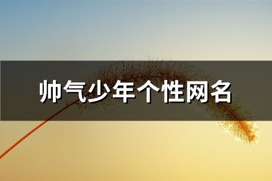 帥氣少年個性網名(719個)