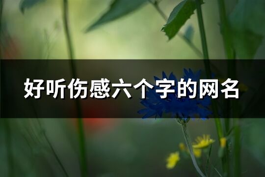 好聽傷感六個(gè)字的網(wǎng)名(精選1156個(gè))