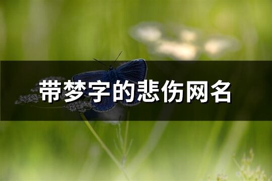 帶夢字的悲傷網名(精選113個)