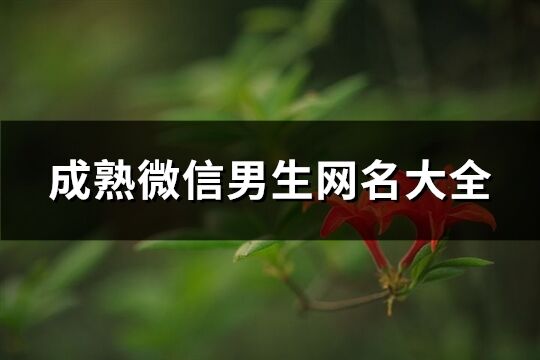 成熟微信男生網(wǎng)名大全(1091個)