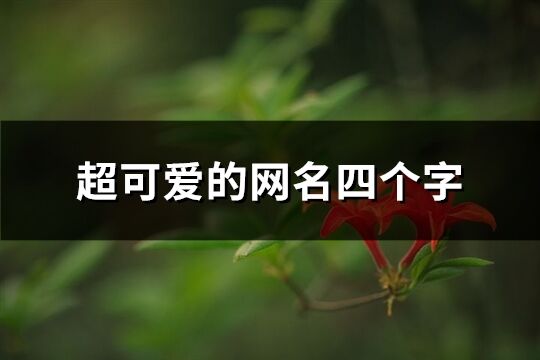 超可愛的網名四個字(793個)