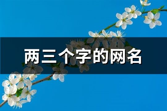 兩三個(gè)字的網(wǎng)名(精選536個(gè))