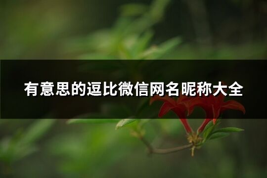 有意思的逗比微信網(wǎng)名昵稱大全(341個)