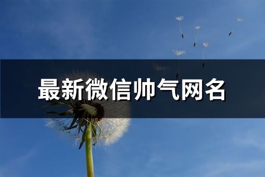 最新微信帥氣網(wǎng)名(共584個(gè))
