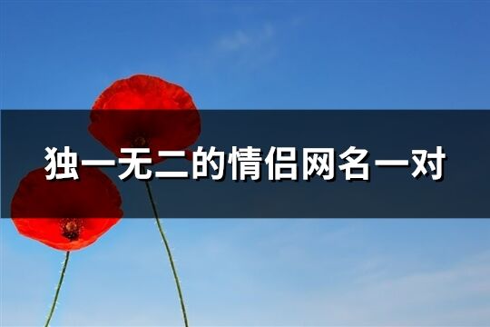 獨(dú)一無二的情侶網(wǎng)名一對(duì)(588個(gè))