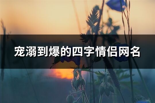 寵溺到爆的四字情侶網名(119個)