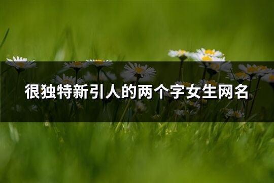 很獨特新引人的兩個字女生網名(2023個)