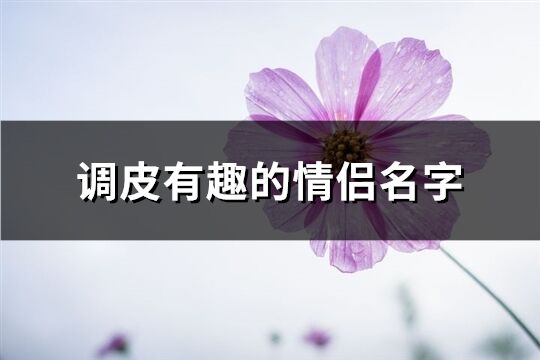 調皮有趣的情侶名字(共65個)