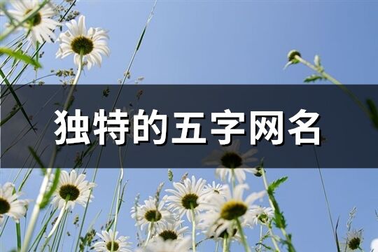 獨特的五字網名(1161個)