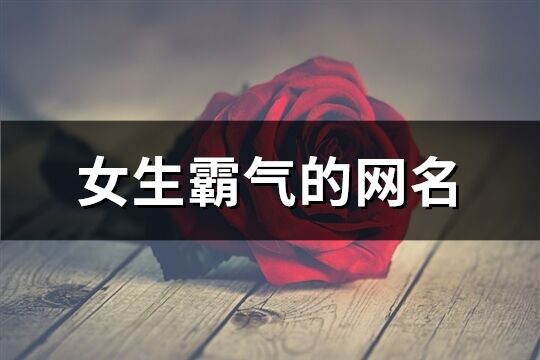 女生霸氣的網名(共395個)