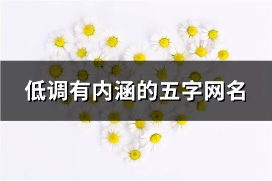 低調有內涵的五字網名(共791個)