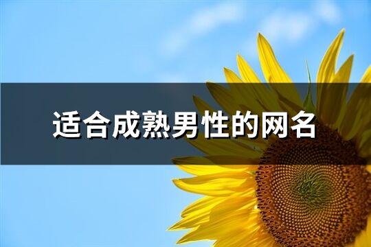 適合成熟男性的網名(1005個)