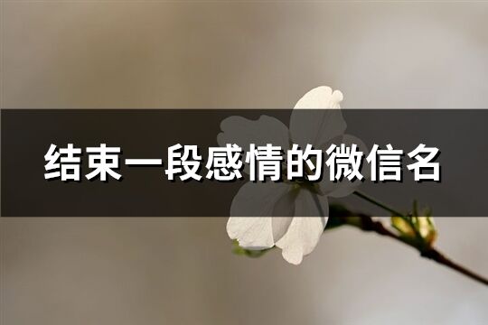結束一段感情的微信名(362個)