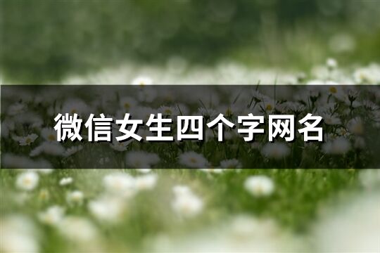 微信女生四個字網名(精選464個)