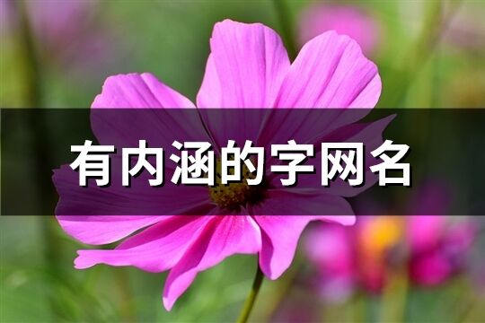 有內涵的字網名(71個)