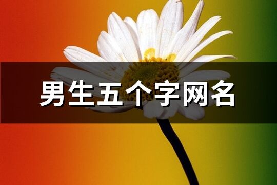 男生五個(gè)字網(wǎng)名(共959個(gè))
