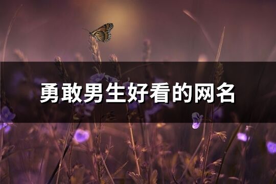 勇敢男生好看的網(wǎng)名(892個)