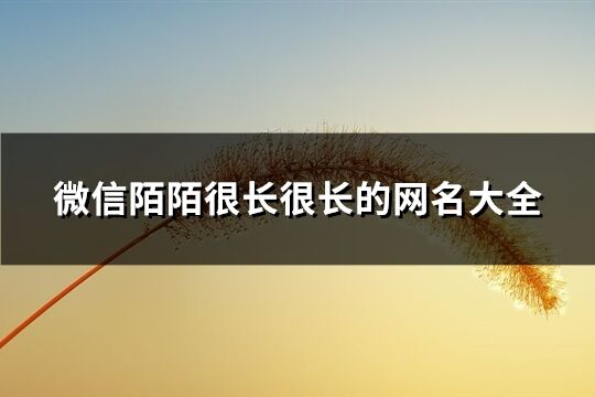 微信陌陌很長很長的網名大全(共556個)