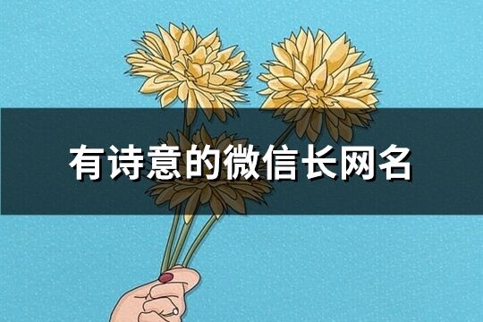 有詩意的微信長網(wǎng)名(共301個)