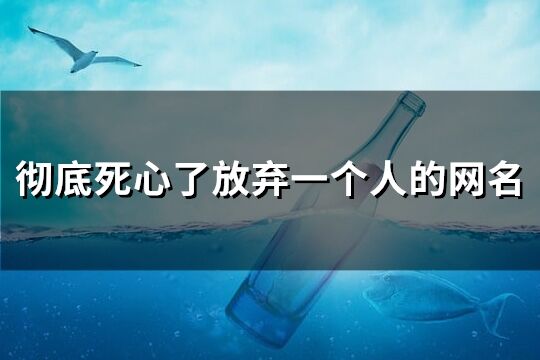 徹底死心了放棄一個(gè)人的網(wǎng)名(精選204個(gè))