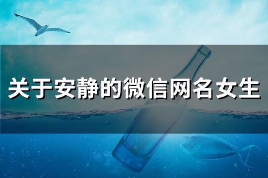 關于安靜的微信網名女生(精選239個)