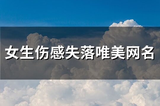 女生傷感失落唯美網(wǎng)名(優(yōu)選226個)