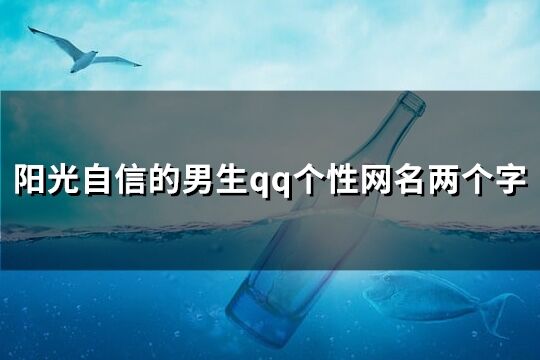 陽光自信的男生qq個性網名兩個字(275個)