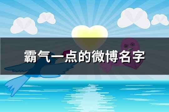 霸氣一點的微博名字(312個)