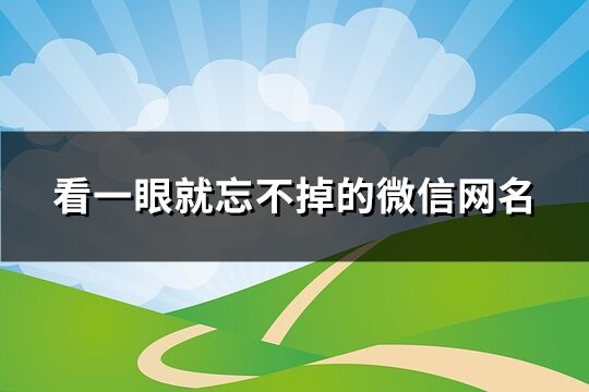看一眼就忘不掉的微信網名(181個)