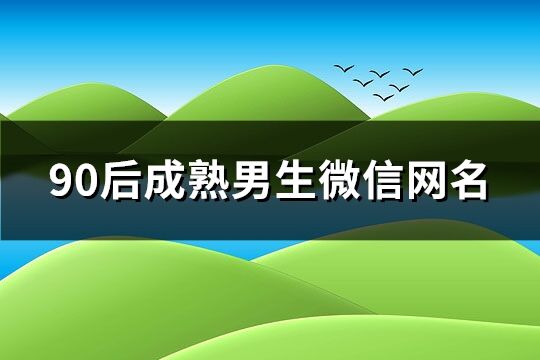 90后成熟男生微信網名(精選161個)