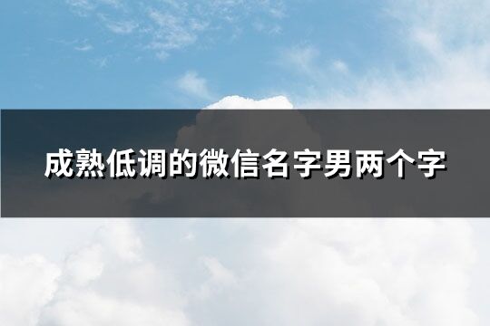 成熟低調的微信名字男兩個字(307個)